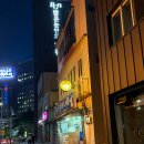 싱싱오징어나라 | 서면 술집 오징어나라 오징어회 맛집 내돈내산 후기
