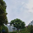 청명고삼거리 네이버블로그