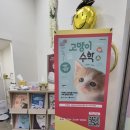 엠트리수학학원