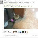 핌 이미지