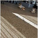 우다다댕산 이미지