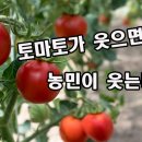 (주)키우다