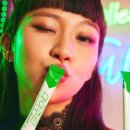 마이둥지 이미지