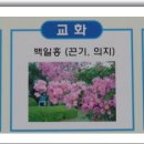 성북초등학교 이미지