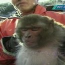 국내 탈옥 레전드.monkey 이미지