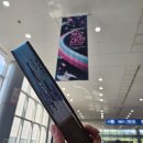 가요페스티벌 | [2025 가요대전] NOL 페스티벌 가요대전 Summer 후기