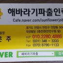 해바라기파출 이미지