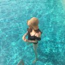 호텔 어반 아일랜드 이미지