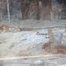 하범 | 2018 1월 서울동물원 방문기3