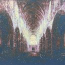 허상과 실상의 공존 이미지