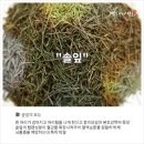 좋은영농조합법인 이미지