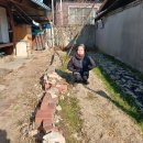 공단이용소 이미지