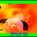 주공11단지아파트 이미지