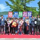 정선아리랑 쿠키뉴스
