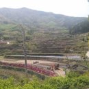 엄나무민박 이미지