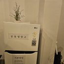 아일랜드 보인다펜션 이미지