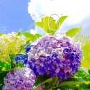 D+116오사카 워킹홀리데이;도쿄여행 2일차,꿈과 환상의나라 디즈니랜드