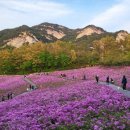 불암산 순환산책로 이미지