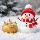 연세다엘마취통증의학과내과의원 | [동결2차]5일배아 2개 감자와 눈사람 동결이식 / 1차 피검사까지 2주간의 기록(과연 착붙했을까?)