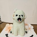 와들스 케이크 이미지