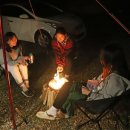 팜스퀘어 하늘타리 이미지