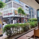 강남치킨 '놀란치킨 강남역본점' 솔직후기
