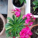 심곡정미소 이미지