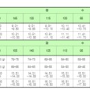 영레저스포츠 이미지