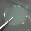 연수자동차서비스 | 연수구 송도자동차유리복원 전면유리 용접 후기요