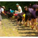 두꺼비상사 이미지