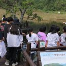 흑산초등학교 이미지