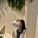 또미카츠 이미지