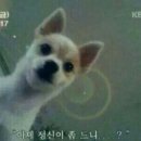 두존치킨 이미지