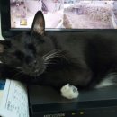 블루홀스 승마센터 이미지