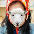 갈산면 갈오마을회관 | 청년 부여애 머뭄, 삶 : 2박 3일 충청남도 부여군 여행기 -2