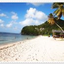 바른렌트카 이미지