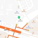 스콜라몬테소리고양 이미지