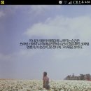 에쓰에쓰 이미지