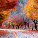 추산초교 | 秋景(추경)