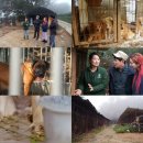 이경규농장 이미지