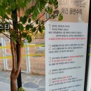 멍스타애견 이미지