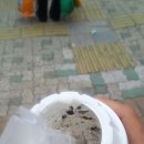 롯데리아논공점 이미지