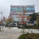 크로바내과의원 이미지