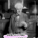 매머드공인중개사사무소 이미지