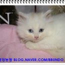 고명농장 이미지