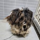 영덕주유소 이미지