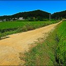 양갑주유소 이미지