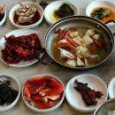 맘모스회센타