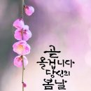 당신의봄날 - 포항시 북구 장량로174번길 6-9 | 당신의봄날