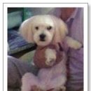 동삼1동-3 이미지